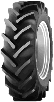 Radial S